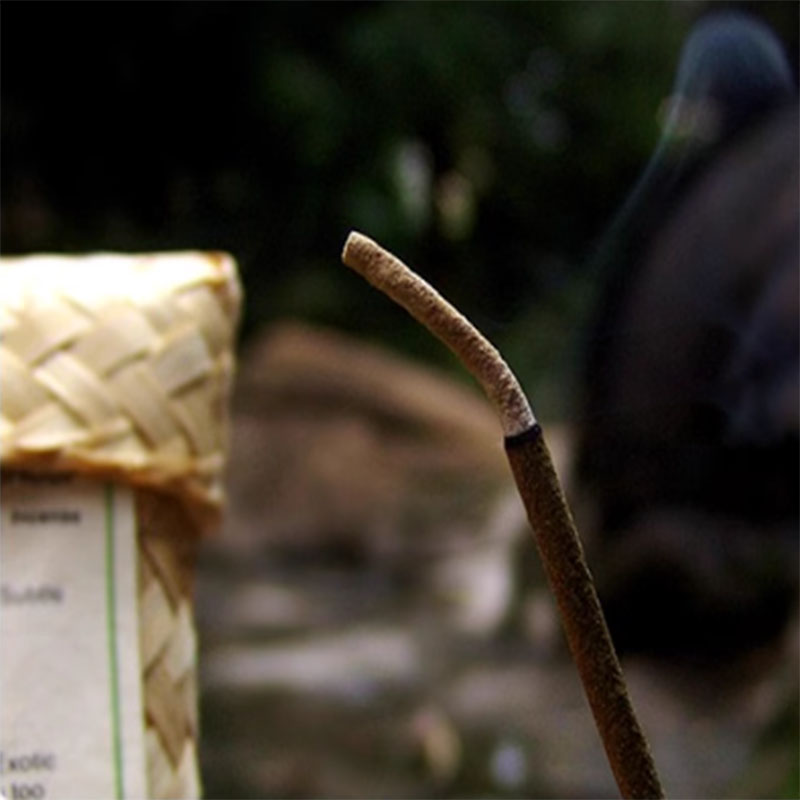 Log Planten Wierookstokjes Mee - Home Fragrance Zen recensie en prijs